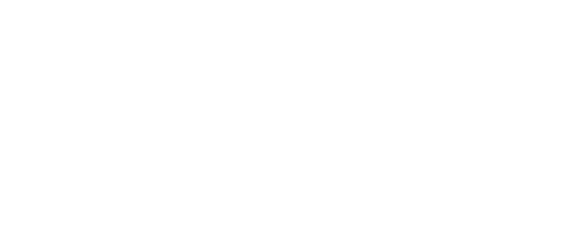 amyna-logo