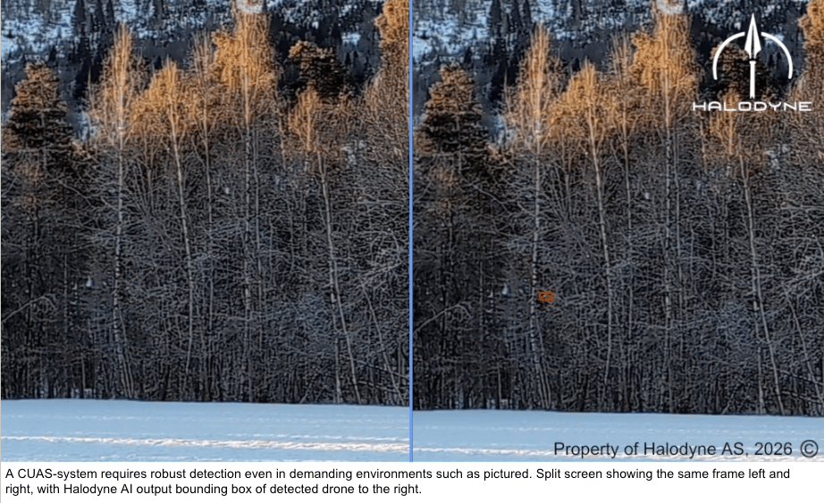 detection_halodyne