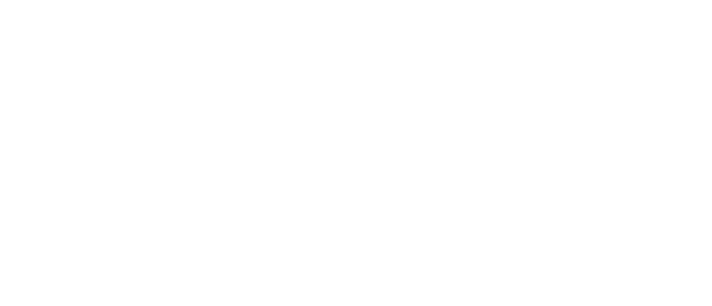 in-logo-nor-hvit-1024x440
